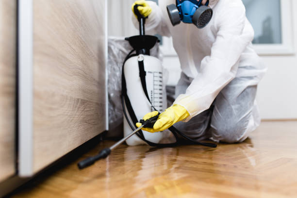 Best Exterminator Services  in Lawrenceville, NJ