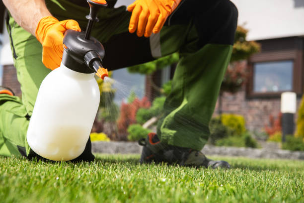 Best Best Pest Control Companies  in Lawrenceville, NJ