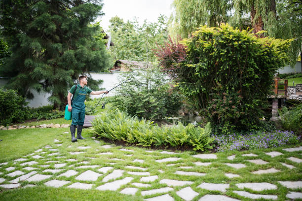 Best Affordable Pest Control Services  in Lawrenceville, NJ