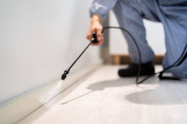 Professional Pest Control in Lawrenceville, NJ