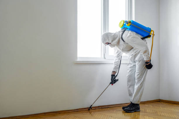 Best Wildlife Control Services  in Lawrenceville, NJ