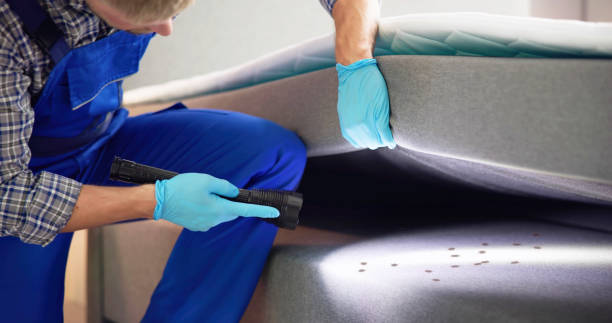 Best Termite Control Services  in Lawrenceville, NJ