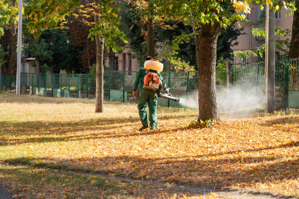 Best Bed Bug Extermination  in Lawrenceville, NJ