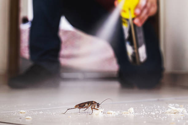 Pest Control Cost in Lawrenceville, NJ