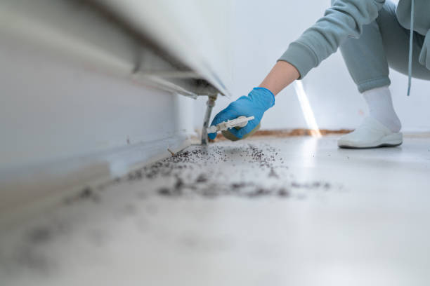 Best Commercial Pest Control Services  in Lawrenceville, NJ